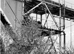 暫定世界遺産・三井三池炭鉱・三池港にあったダン・クロ・ローダー・その参