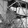 暫定世界遺産・三井三池炭鉱・三池港にあったダン・クロ・ローダー・その参