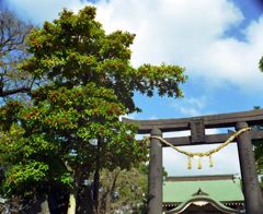 諏訪神社