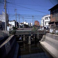 大牟田川の風景
