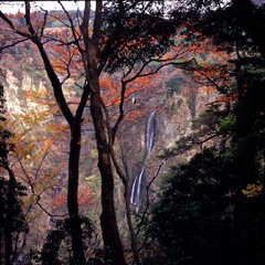 くじゅう・震動の滝