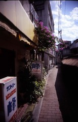 スナック峰