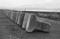 海辺のブロック・その壱