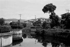福岡県大牟田市吉野の牟田堤・その弐