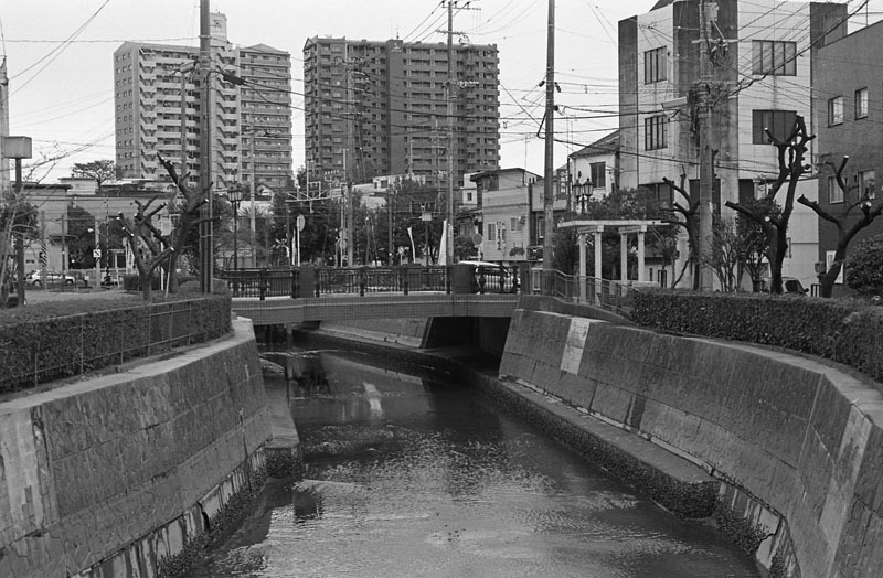大牟田川の風景