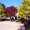 明治公園の紅葉・その弐