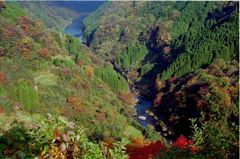 蘇陽峡渓谷４
