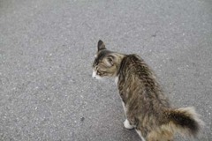 別府路地裏撮影会・その弐拾参