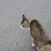 別府路地裏撮影会・その弐拾参