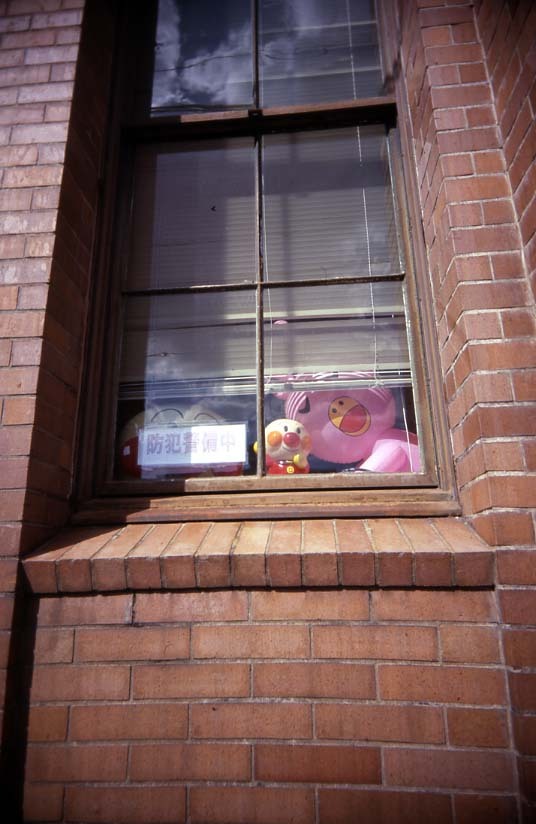 ノバうさぎ
