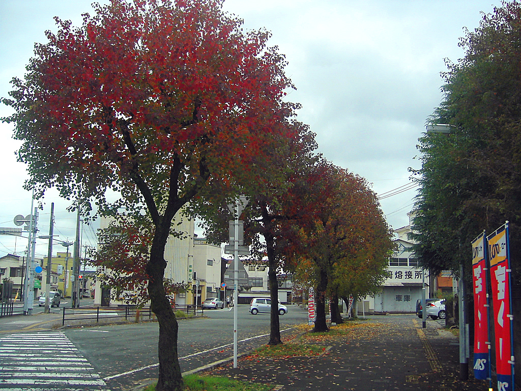 大牟田市新栄町駅付近の紅葉・その四
