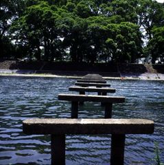 沈水橋