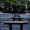 沈水橋