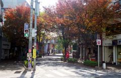 大牟田市栄町の紅葉