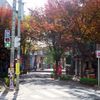大牟田市栄町の紅葉
