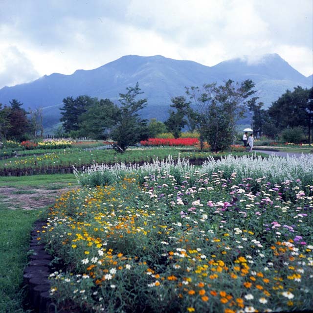 くじゅう花公園の風景・その八