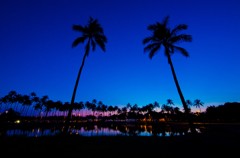 The Magic Hour