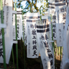 SENgoku