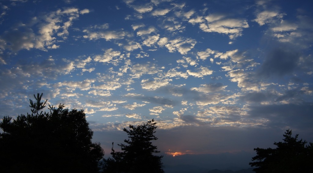 夕景