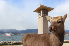 宮島観光冊子