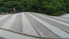 地面模様