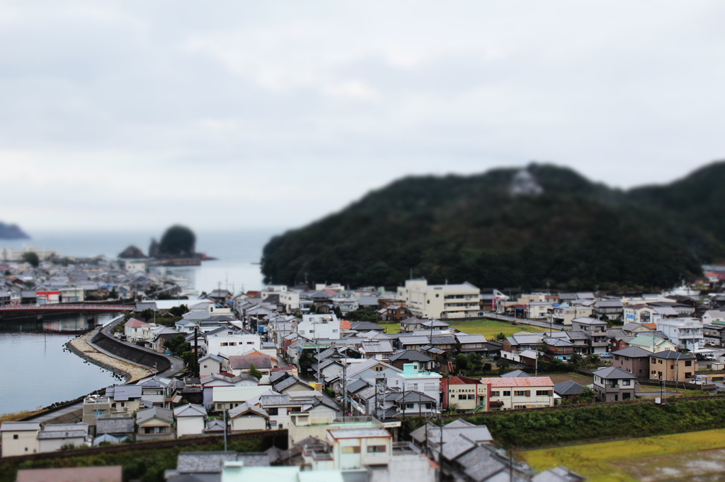 薬王寺からの町並