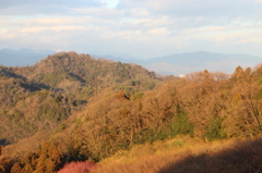 七折梅園からの風景