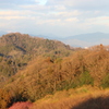 七折梅園からの風景