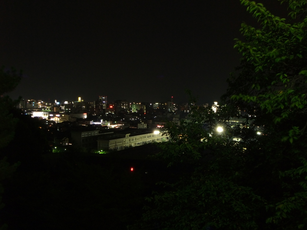 DSCF0361