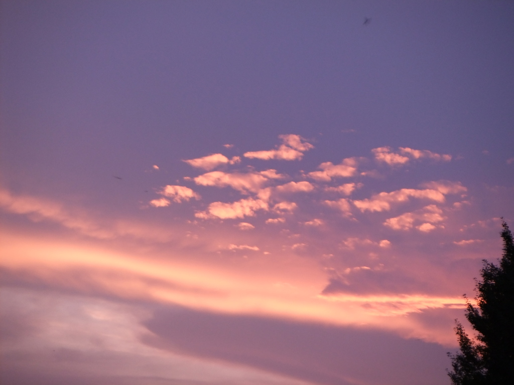 DSCF0524