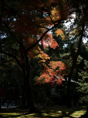 NANZENJI