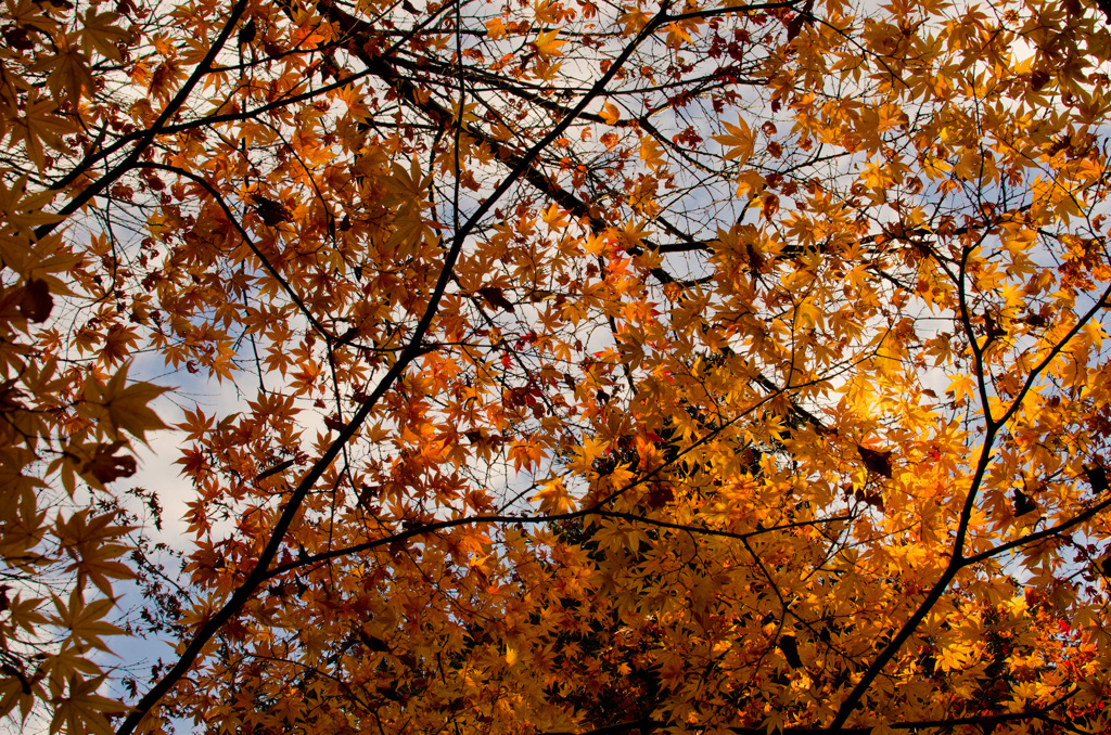戌の日　お参り