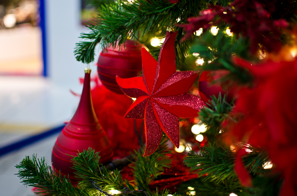 パセオリニューアル　クリスマスツリー