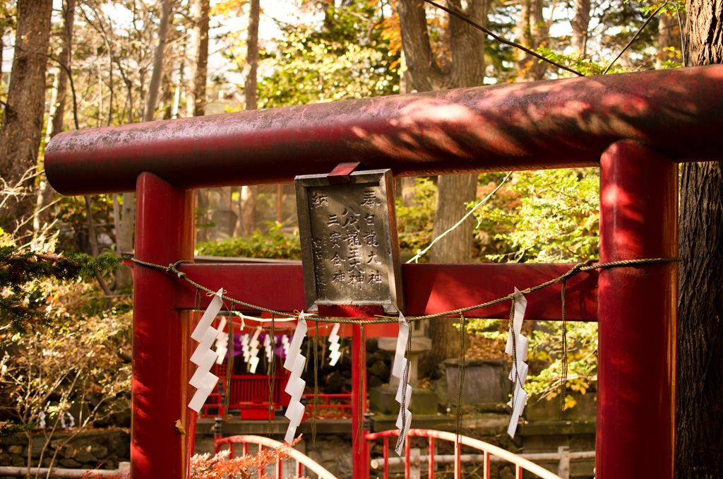 戌の日　お参り