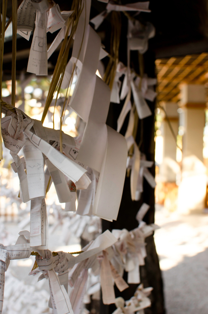 戌の日　お参り