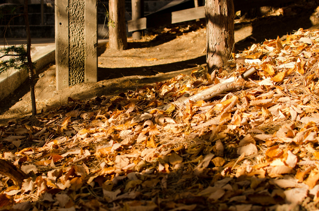 戌の日　お参り