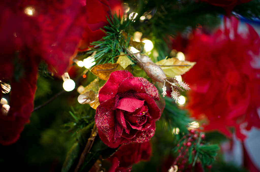 パセオリニューアル　クリスマスツリー