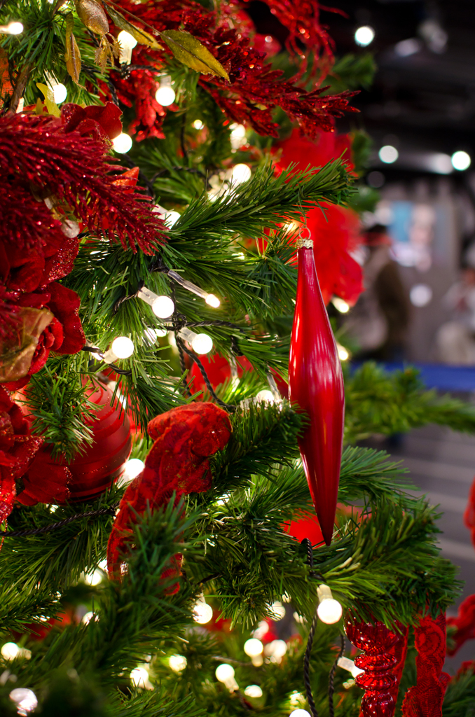 パセオリニューアル　クリスマスツリー