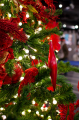 パセオリニューアル　クリスマスツリー