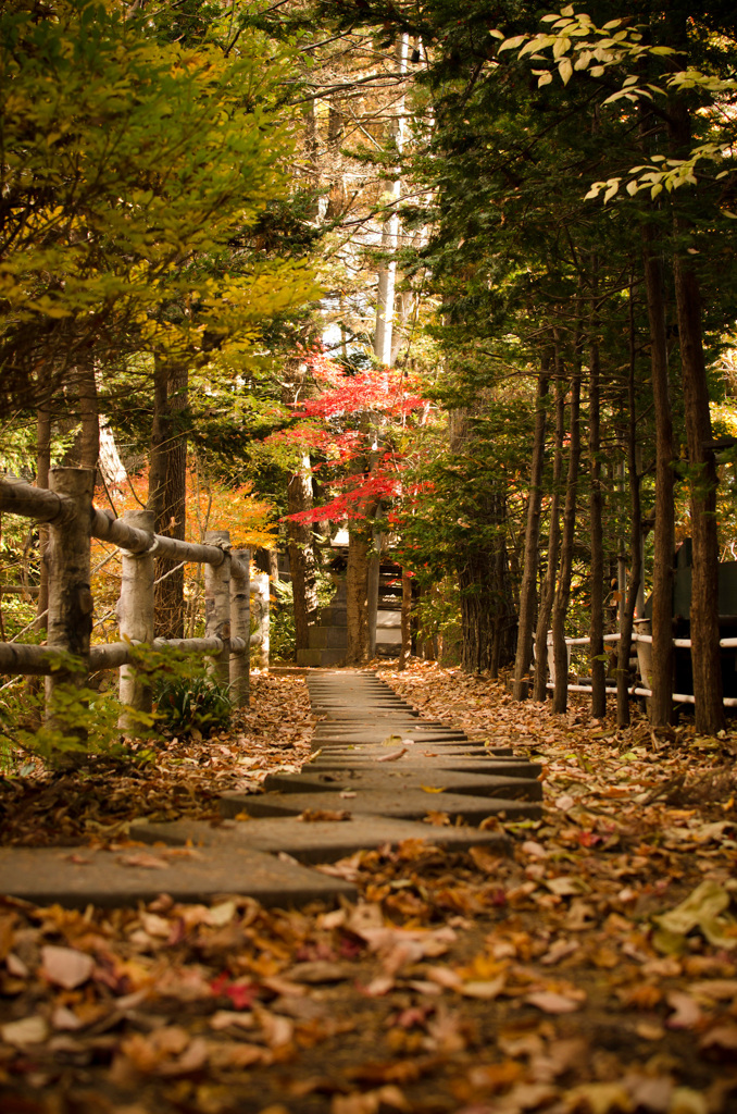 戌の日　お参り