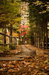 戌の日　お参り