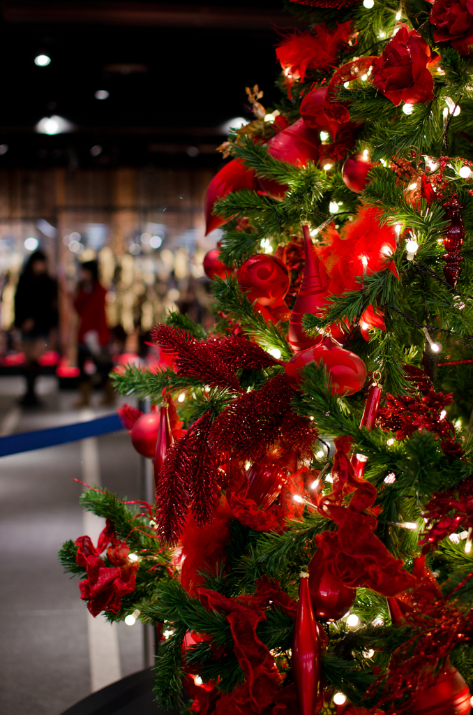 パセオリニューアル　クリスマスツリー
