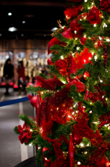 パセオリニューアル　クリスマスツリー