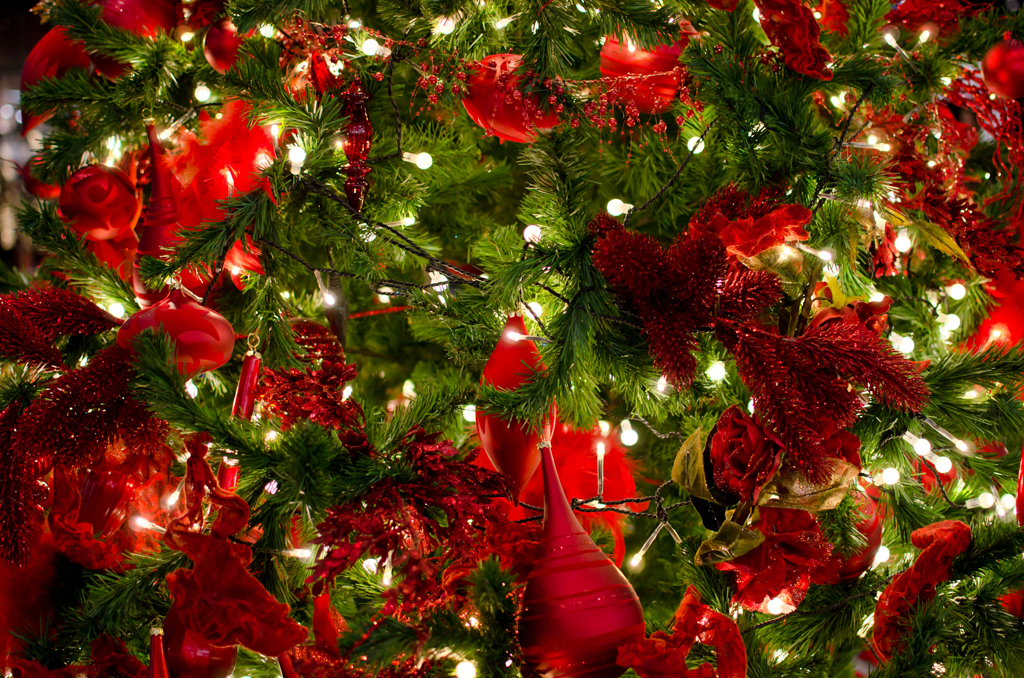 パセオリニューアル　クリスマスツリー