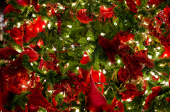 パセオリニューアル　クリスマスツリー