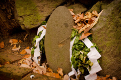 戌の日　お参り