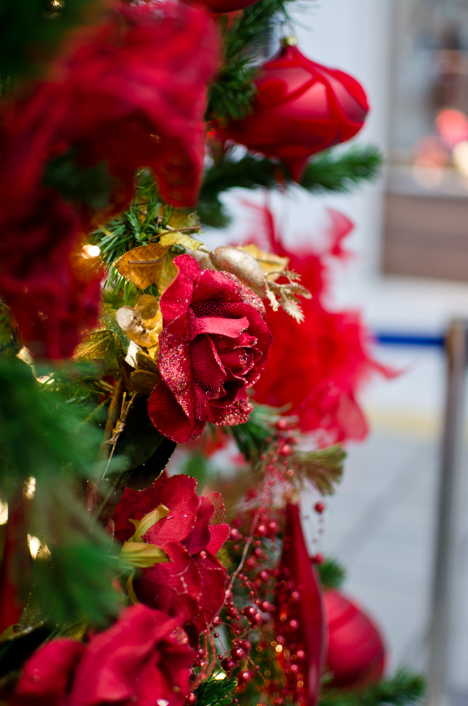 パセオリニューアル　クリスマスツリー