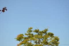 そこにおられたのですね