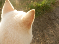 ねぇねぇ☆歩こうよ