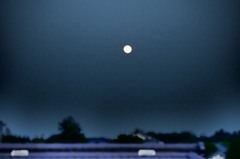 朧月夜